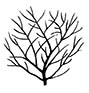 Spindle Shrub (Euonymus europeaus) 20-40cm Shrubs, HARDY + INTERESTING BARK + BRIGHT COLOURS + NORTH UK + COAST **FREE UK MAINLAND DELIVERY + FREE 3 YEAR LIMITED TREE WARRANTY**